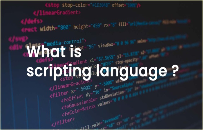 What Is Scripting Languages_