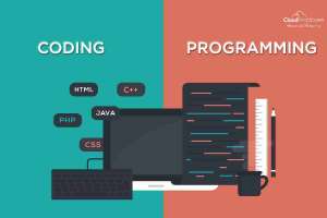 Programming Vs. Coding